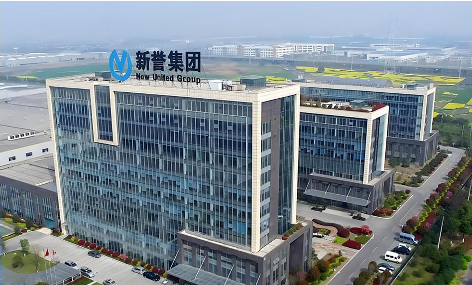 Grupo Xinyu Co Ltd